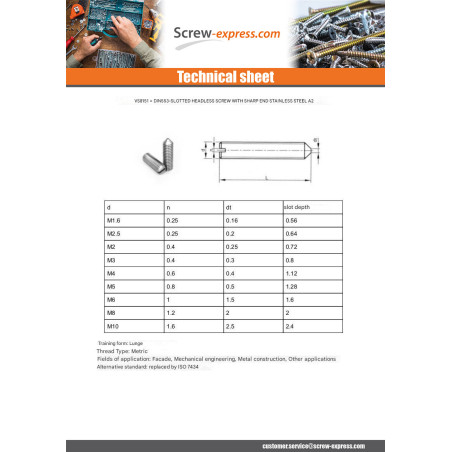 1 x Slotted Set Screws With Cone Point M6X6 Stainless Steel A2