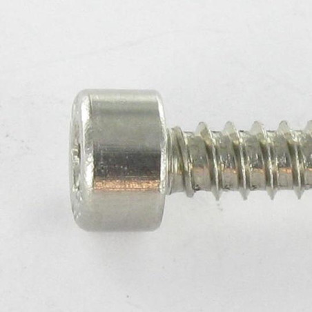 1 x Thread Rolling Screw Socket Head Stainless Steel A2 4.8X45