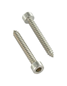 Thread Rolling Screw Socket Head Stainless Steel A2 4.8X32