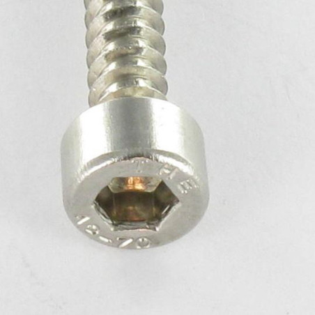 1 x Thread Rolling Screw Socket Head Stainless Steel A2 4.8X32