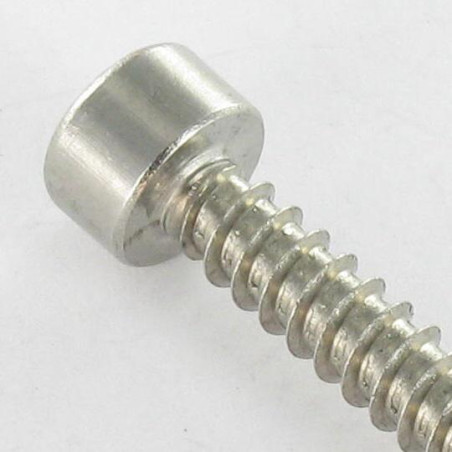 1 x Thread Rolling Screw Socket Head Stainless Steel A2 4.8X32