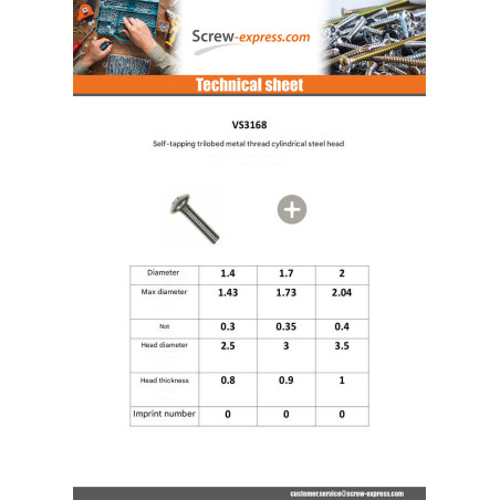 1 x Self Tapping Screw Thread Metal Pan Head Phillips M2X5 Zinc Plated micro screw