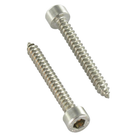 1 x Thread Rolling Screw Socket Head Stainless Steel A2 4.8X19