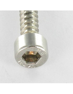 Thread Rolling Screw Socket Head Stainless Steel A2 4.8X19 2