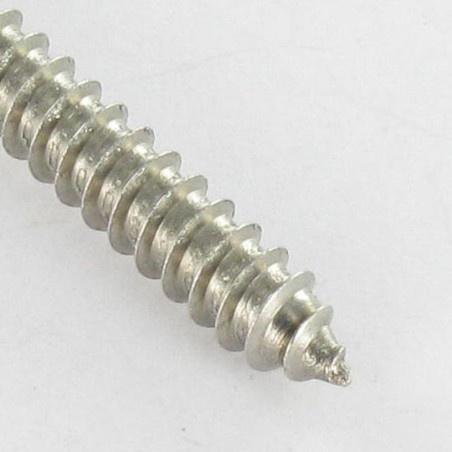 1 x Thread Rolling Screw Socket Head Stainless Steel A2 4.8X19