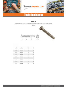 Thread Rolling Screw Hexagonal Head Pozi Pilot Point... 2