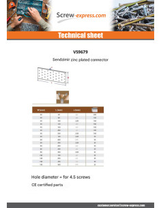 Anchor Plate Zinc Plated Sendzimir 80X200 Thickness 2 2