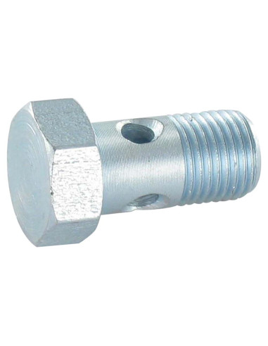 1 x Hollow Screws For Ring Type Banjos...