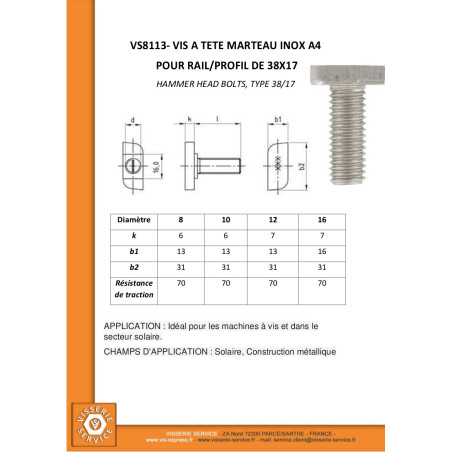 1 x Machine Screw Hammer Head 13X31X6 M12X60 Stainless Steel A4 for 38/17 profiles