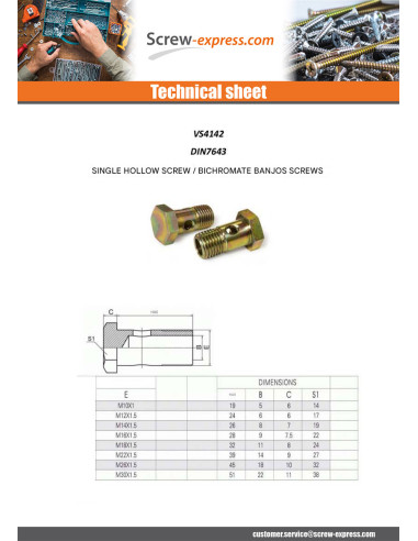 1 x Hollow Screws For Ring Type Banjos...