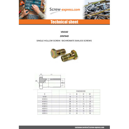 1 x Hollow Screws For Ring Type Banjos Hexagonal Head M10X19 Fine Thread Pitch 100 Zinc Plated