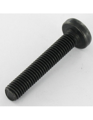 1 x Machine Screw Pan Head T40 M8X35 Class 10.9...