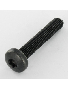 Machine Screw Pan Head T40 M8X45 10.9ZNN480HBSSRR