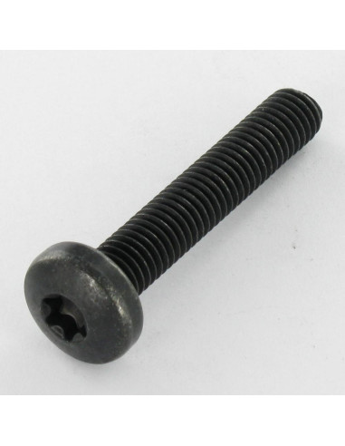 1 x Machine Screw Pan Head T40 M8X45 Class 10.9...