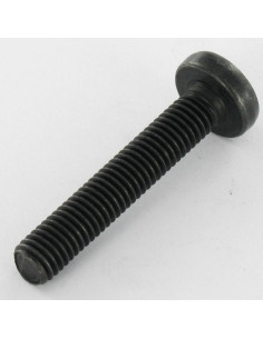 Machine Screw Pan Head T40 M8X45 10.9ZNN480HBSSRR 2