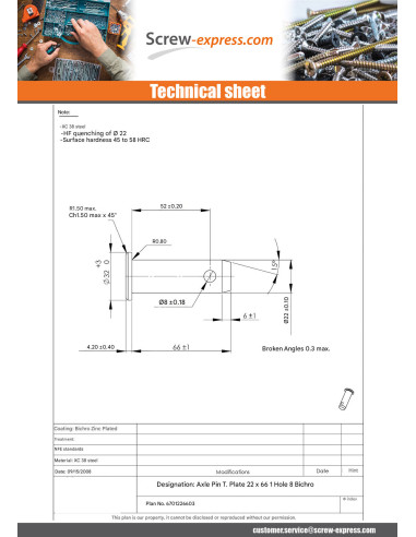 1 x Rod Pin With Hole Flat Head 22X66HOLE...
