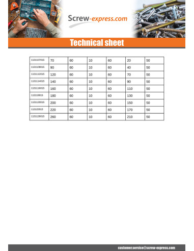 1 x Insulation dowels 10X220 And Nails SYNTHETIC