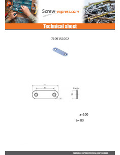 PLATINUM ASSEMBLY Zinc Plated 15X100 2