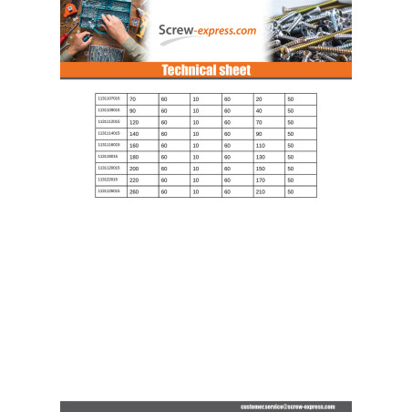 1 x Insulation dowels 10X160 And Nails SYNTHETIQ