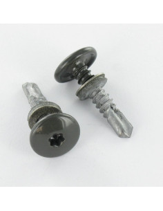 Self Drilling Cylindrical Button Head T25 5.5X26 +EPDM...