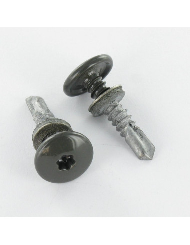 1 x Self Drilling Cylindrical Button Head T25...
