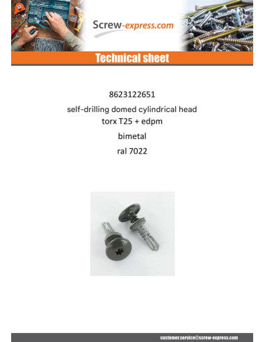 1 x Self Drilling Cylindrical Button Head T25...