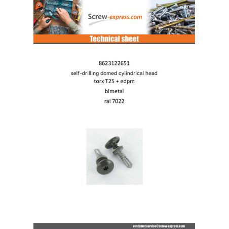 1 x Self Drilling Cylindrical Button Head T25 5.5X26 +EPDM Bimetal Ral7022/Umber Grey