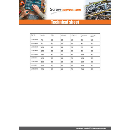 1 x Insulation dowels 10X220 And Nails METALLIC