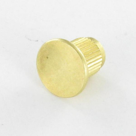 1 x Nut Bookbinder Knurled Brass M8 Head Diameter: 20 Lengh Under Head 16
