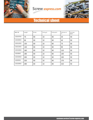 1 x Insulation dowels 10X90 And Nails METALLIC