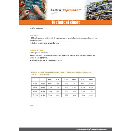 1 x Bolt With Nut Anchor M10X116 With Machine Screw Hexagonal Head Zinc Plated