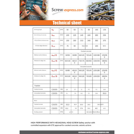 1 x Bolt With Nut Anchor M12X117 With Machine Screw Hexagonal Head Zinc Plated