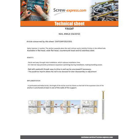 1 x Plug Nails Flat Head 8X40