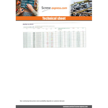 1 x Plug Nails Flat Head 6X35