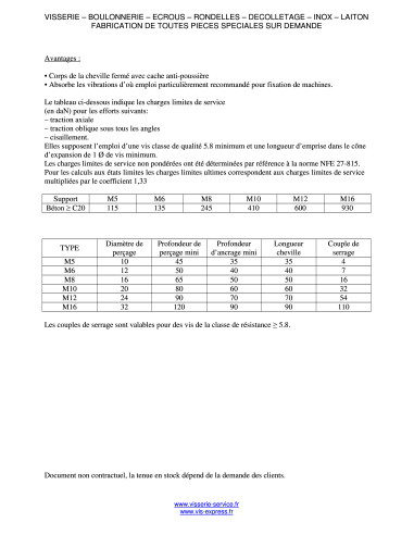 1 x Plug M Fischer M5