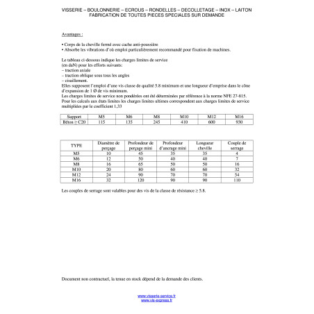 1 x Plug M Fischer M6