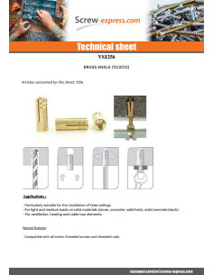 Plug Brass 12X34 M10 2