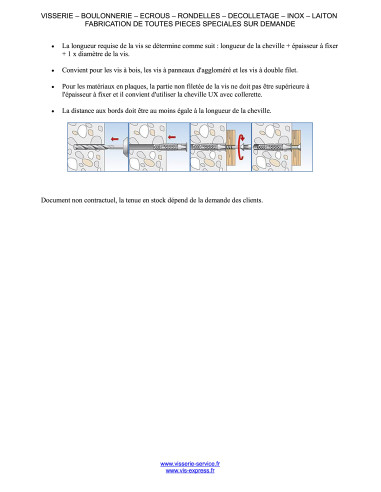 1 x Plug Nylon Fischer UX Without Collar 10X60