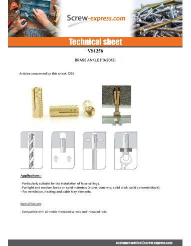 1 x Plug Brass 5X16 M4
