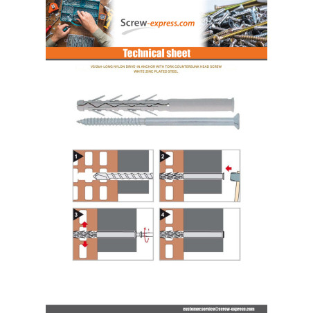 1 x Plug Long Nylon 10X100 + Screw Countersunk Head Torx Zinc Plated