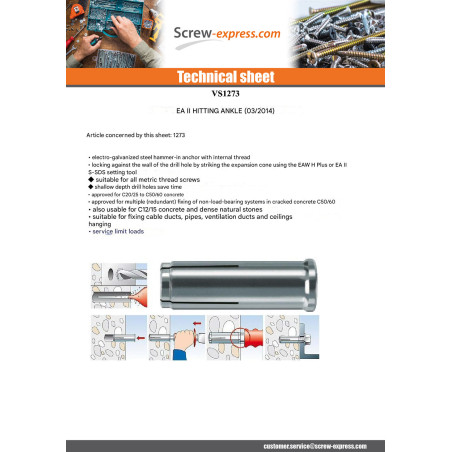 1 x Plug HIT Fischer EAII M12X50 Zinc Plated