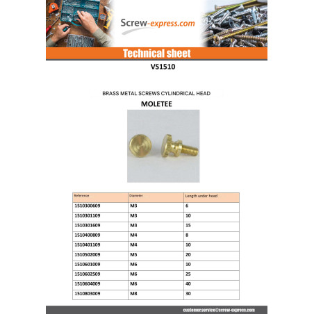 1 x Machine Screw Brass Pan Head Knurlled M6X25