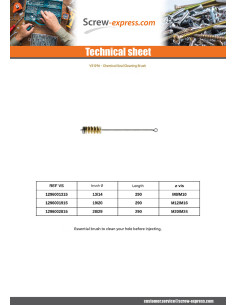 BRUSH Of CLEANING Diameter 19 Linch Pin M12 M16 2