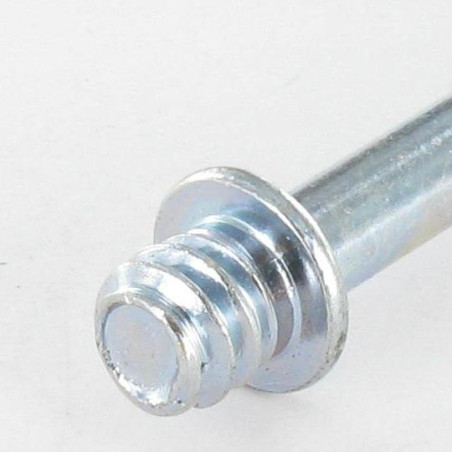 1 x PAWS to Wood Screws Zinc Plated 5X49 M7/150