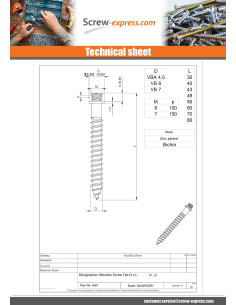 PAWS to Wood Screws Steel 7X70 2
