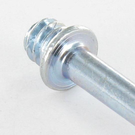 1 x PAWS For Wood Screws Yellow Zinc 8X50 Thread Length: 40