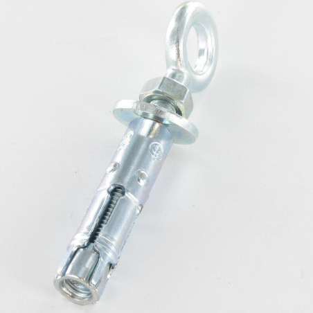 1 x Plug Anchor With Piton M6 10X40 Zinc Plated