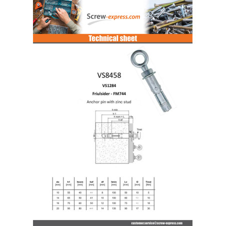 1 x Plug Anchor With piton M12 20X80 Zinc Plated