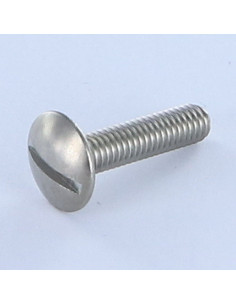 Screw Mushroom Slotted Stainless Steel A2 M8X90