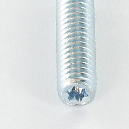 1 x Studs Meta End Fischer STST T25 Zinc Plated 10X140